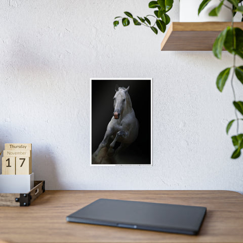 Elegant Horse Gloss Poster - Art Print for Home Décor