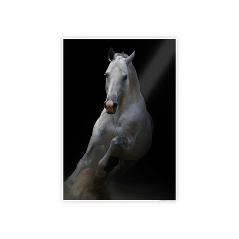 Elegant Horse Gloss Poster - Art Print for Home Décor