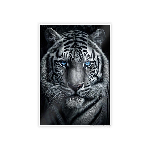 Majestic White Tiger Gloss Poster - Stunning Wall Art for Animal Lovers