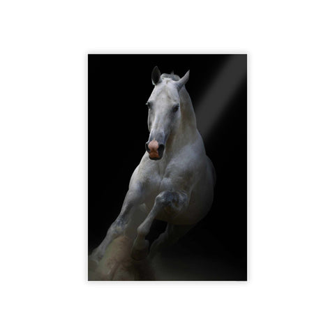Elegant Horse Gloss Poster - Art Print for Home Décor