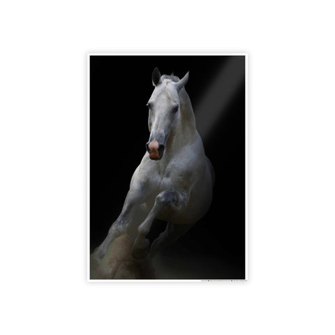 Elegant Horse Gloss Poster - Art Print for Home Décor