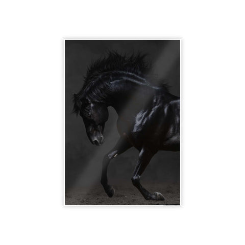 Elegant Horse Gloss Poster - Dramatic Equine Art for Home Decor