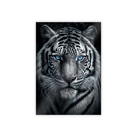 Majestic White Tiger Gloss Poster - Stunning Wall Art for Animal Lovers