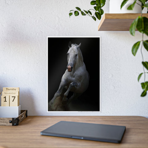 Elegant Horse Gloss Poster - Art Print for Home Décor