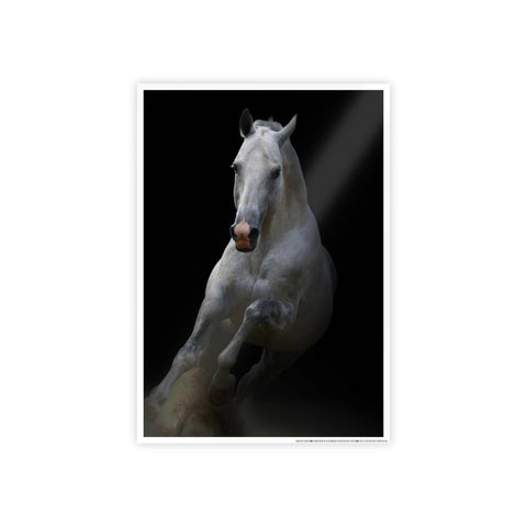 Elegant Horse Gloss Poster - Art Print for Home Décor