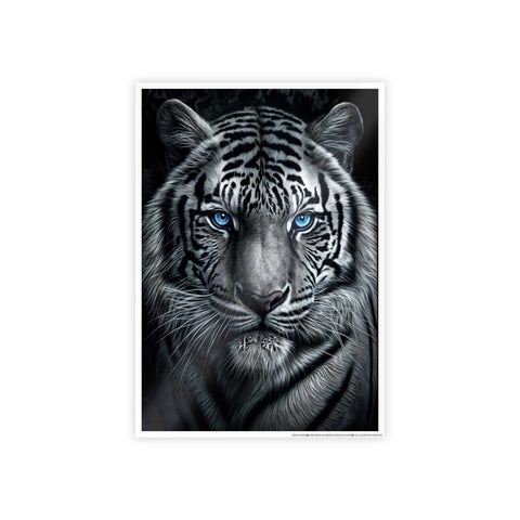 Majestic White Tiger Gloss Poster - Stunning Wall Art for Animal Lovers