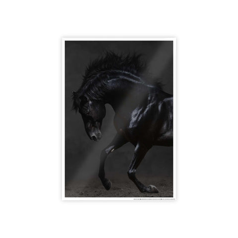 Elegant Horse Gloss Poster - Dramatic Equine Art for Home Decor