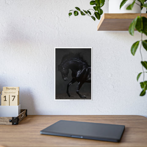 Elegant Horse Gloss Poster - Dramatic Equine Art for Home Decor