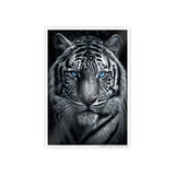 Majestic White Tiger Gloss Poster - Stunning Wall Art for Animal Lovers